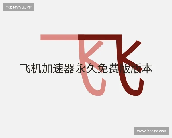 解读飞机加速器永久免费版版本